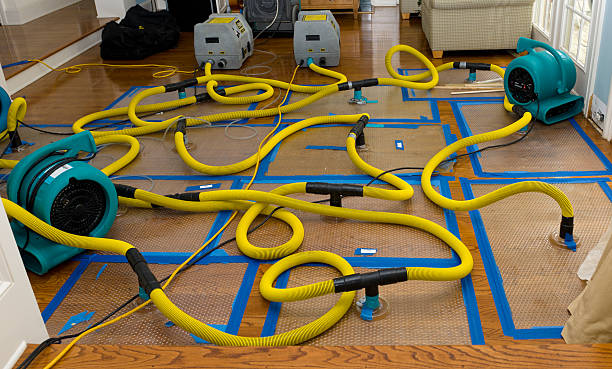 Professional Sewage Cleanup technician working in Belfast, ME